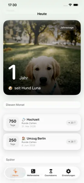 seit. Hauptbildschirm mit heutigem Meilenstein